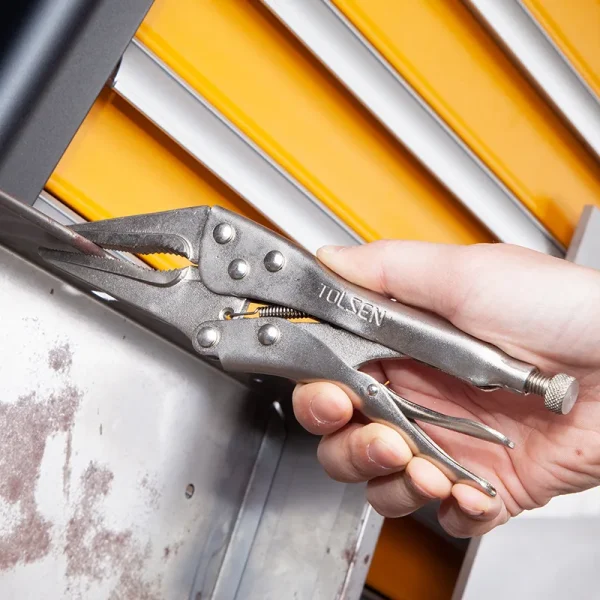 Kìm chết mũi dài –  10052 - Ảnh 4