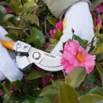 Kéo cắt cành lưỡi bypass 8 inch - 31032 - Ảnh 8